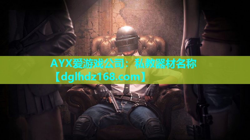 AYX爱游戏公司：私教器材名称