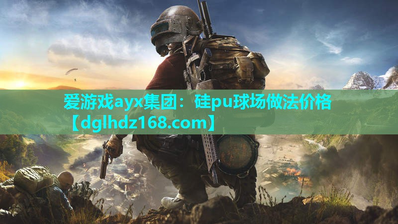 爱游戏ayx集团：硅pu球场做法价格